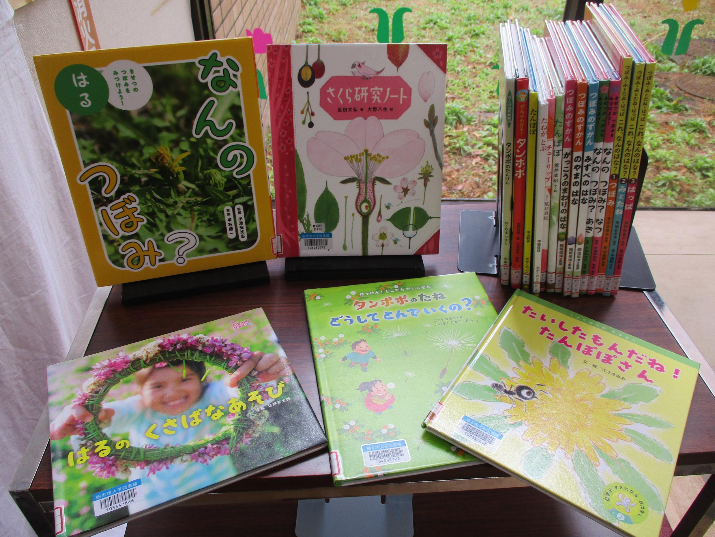 「花とつぼみ」展示の写真