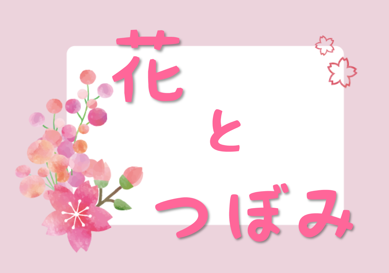 おすすめ「花とつぼみ」展示リスト