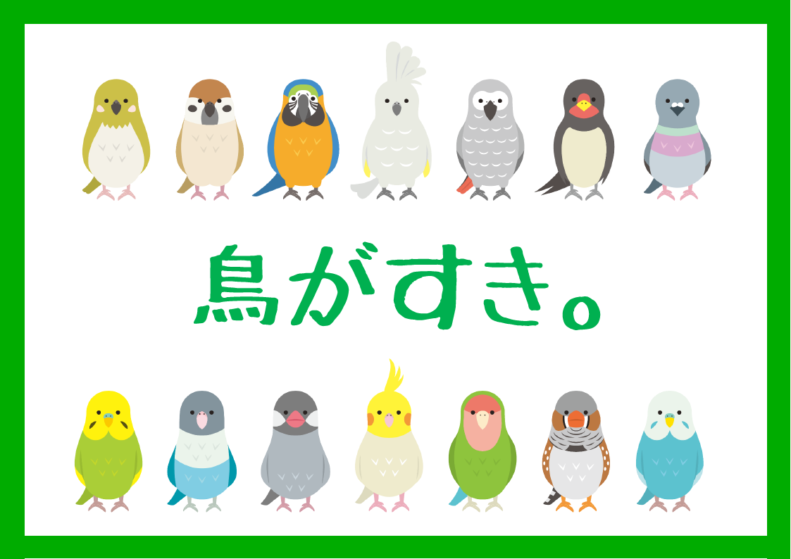 鳥がすき。