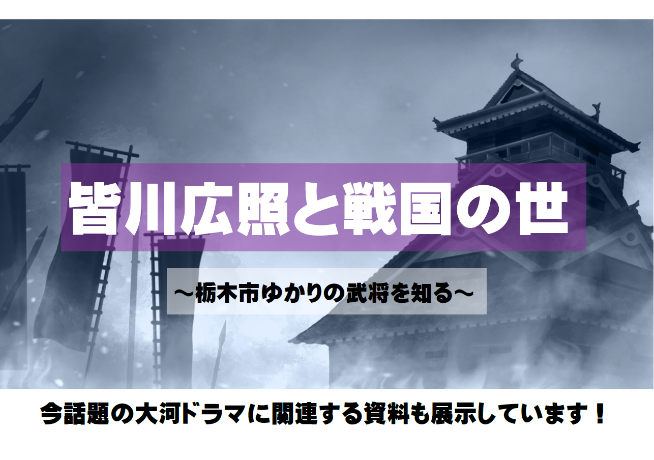 皆川広照と戦国の世